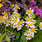 Blumenstrauß Glücksgefühl mit Vase & Ferrero Raffaello