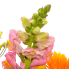 Blumenstrauß Sonnentag mit Vase & Ferrero Raffaello