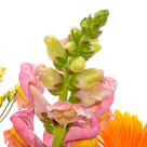 Flower Bouquet Sonnentag with Vase & Ferrero Raffaello