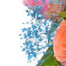 Premiumstrauß Sommerfestival mit Premiumvase & Ferrero Raffaello