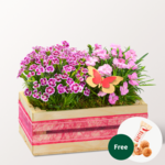 Hearty Greetings in a Wooden Box with 3 Ferrero Giotto