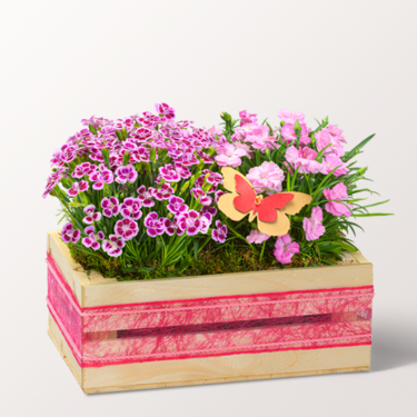 Hearty Greetings in a Wooden Box with 3 Ferrero Giotto