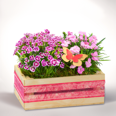 Hearty greetings in a wooden box Hearty greetings in a wooden box