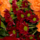 Sympathy Bouquet "In stiller Trauer"