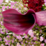 Sympathy Bouquet In Liebe