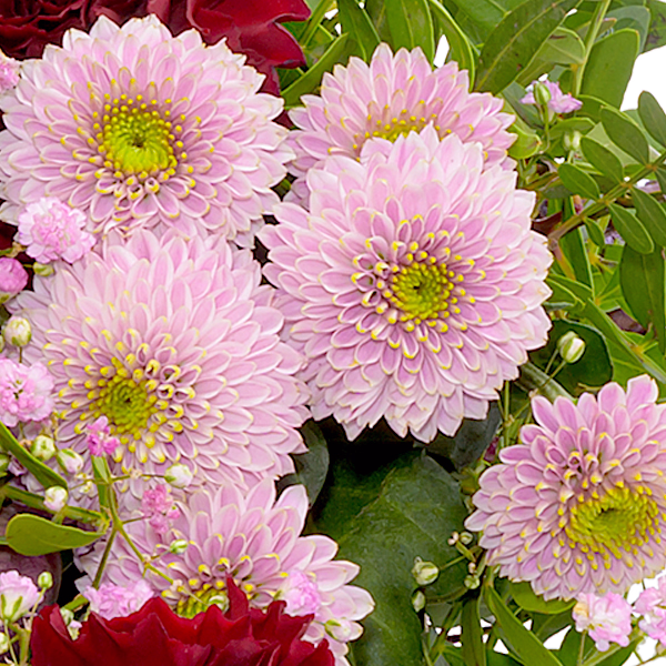 Sympathy Bouquet In Liebe