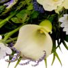 Sympathy Bouquet Verbundenheit