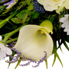Sympathy Bouquet "Verbundenheit"