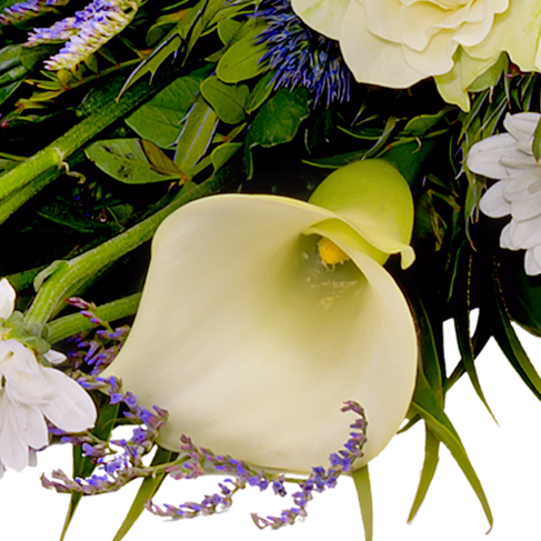 Liegestrauß Verbundenheit