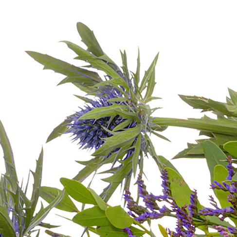 Liegestrauß Verbundenheit