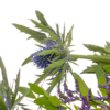 Sympathy Bouquet Verbundenheit