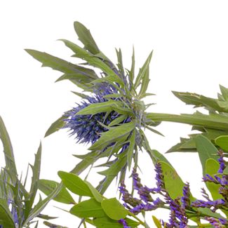 Sympathy Bouquet Verbundenheit