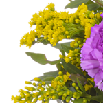 Blumenstrauß Frühlingsbeginn mit Vase & 2 Ferrero Rocher