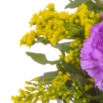 Blumenstrauß Frühlingsbeginn mit Vase & Ferrero Giotto 3er