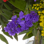 Blumenstrauß Frühlingsbeginn mit Vase & Ferrero Giotto 3er