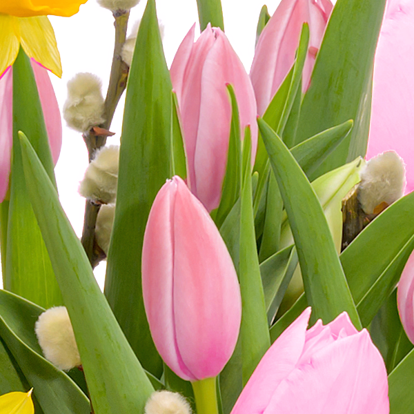 Bunte Mischung im Holzkasten