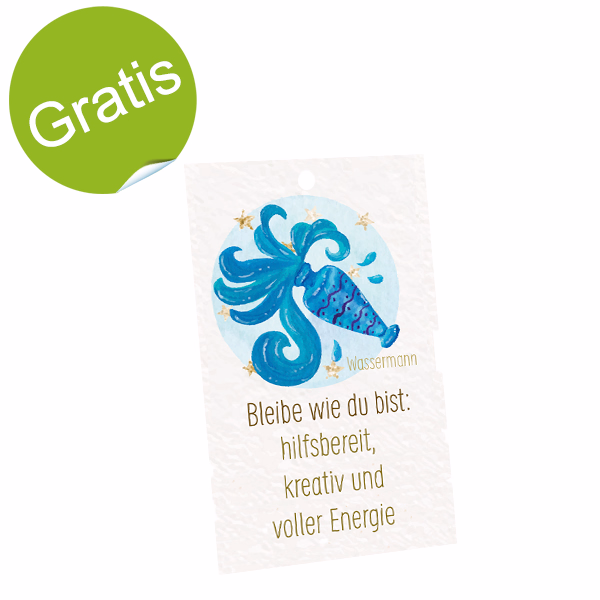 Sternzeichen-Blumenstecker „Wassermann“