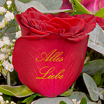 Blumenstrauß "Alles Liebe" mit Vase