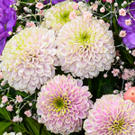 Flower Bouquet Blütentraum with vase & 3 Ferrero Giotto