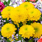 Blumenstrauß Blütenfreude mit Vase
