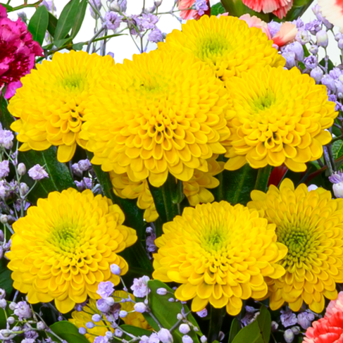 Blumenstrauß Blütenfreude mit Vase & Ferrero Giotto 3er