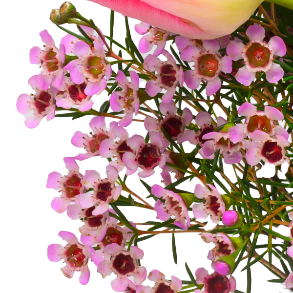 Arrangement Frühlingskuss with 3 Ferrero Giotto