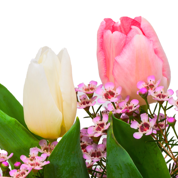 Arrangement Frühlingskuss mit Ferrero Giotto 3er