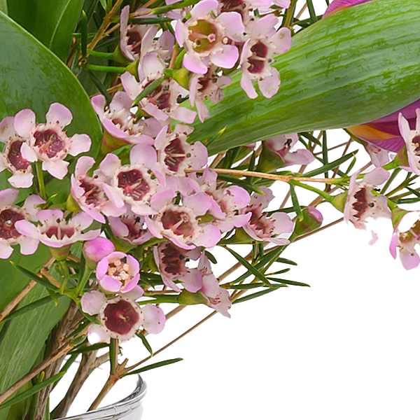 Arrangement Romanze mit Ferrero Giotto 3er