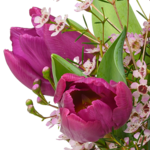 Arrangement Romanze mit Ferrero Giotto 3er