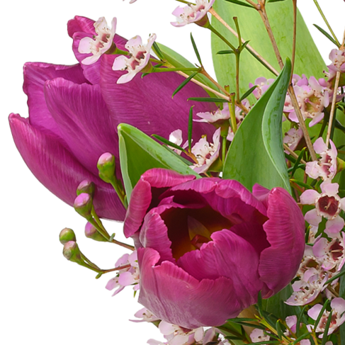 Arrangement Romanze mit 3 Ferrero Giotto
