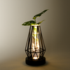 Water Plant Monstera in metal vessel