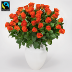 Orange Fairtrade Rosen im Bund