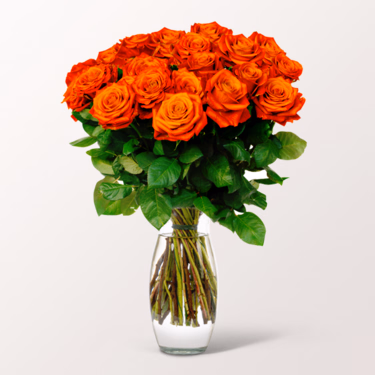Orange Fairtrade roses in a bunch