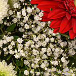 Blumenstrauß Frühlingswind mit Vase & 2 Ferrero Rocher