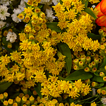 Blumenstrauß Frühlingsglanz mit Vase & 2 Ferrero Rocher