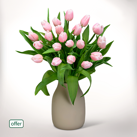 20 light pink tulips in a bunch
