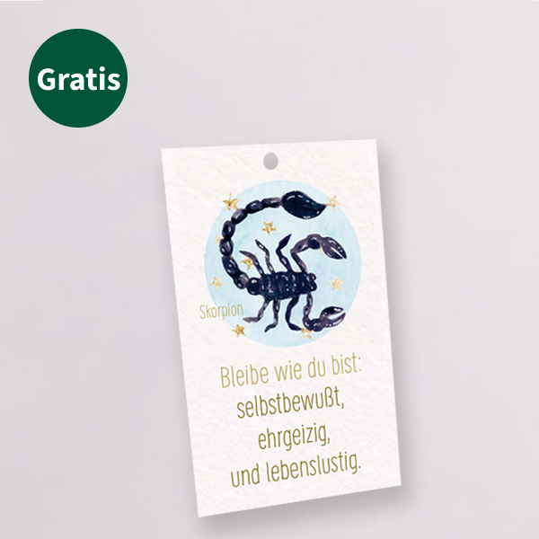 Sternzeichen-Blumenstecker „Skorpion“