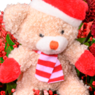 Blumenstrauß Weihnachtsüberraschung mit Vase