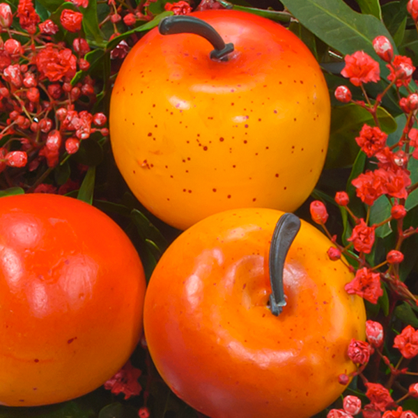 Bouquet Noelle with vase