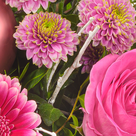 Blumenstrauß Wintergedicht mit Vase