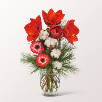 Blumenarrangement Amarylliszauber mit Vase & Ferrero Giotto 3er