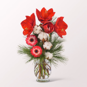 Blumenarrangement Amarylliszauber mit Halloren Kugeln & Vase