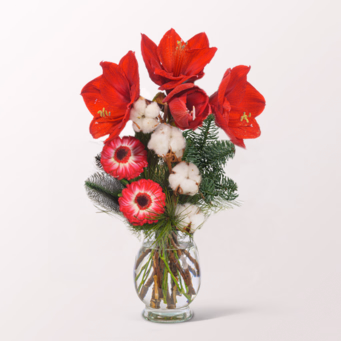Flower Arrangement Amarylliszauber with vase & 3 Ferrero Giotto