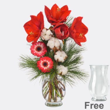 Flower Arrangement Amarylliszauber with vase