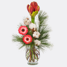 Blumenarrangement Amarylliszauber mit Vase