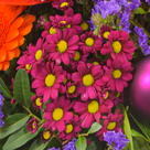 Blumenstrauß Festliche Bescherung mit Vase & 2 Ferrero Rocher
