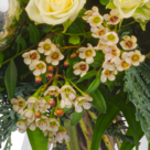 Blumenstrauß Sternennacht mit Vase & 2 Ferrero Rocher