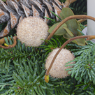 Adventskranz Weißer Advent (Ø 30 cm) mit 2 Ferrero Rocher