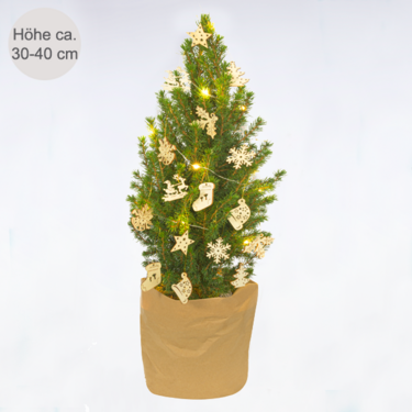 Weihnachtsbaum Weihnachtsfest mit Lichterkette