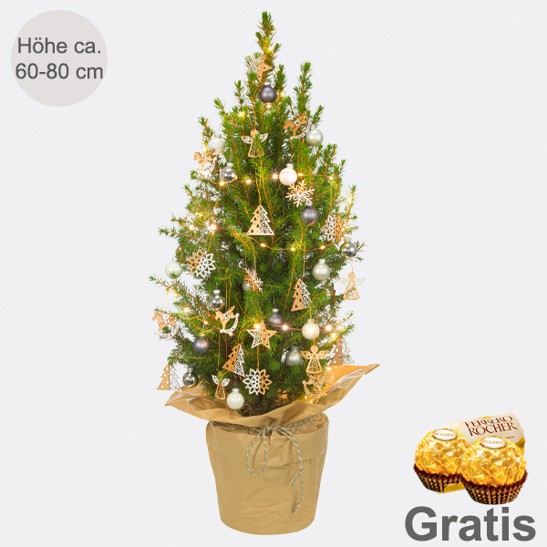 Weihnachtsbaum Weihnachtslaune mit Lichterkette & mit 2 Ferrero Rocher